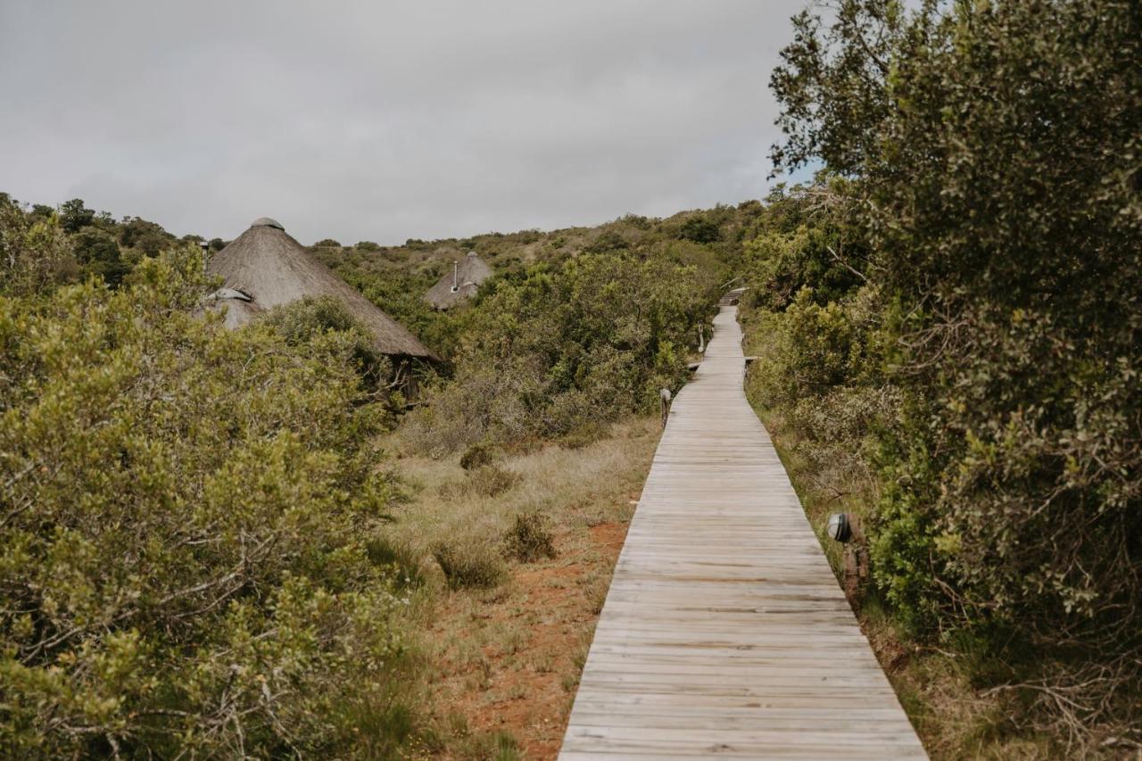 Bukela Game Lodge - Amakhala Game Reserve Exterior foto