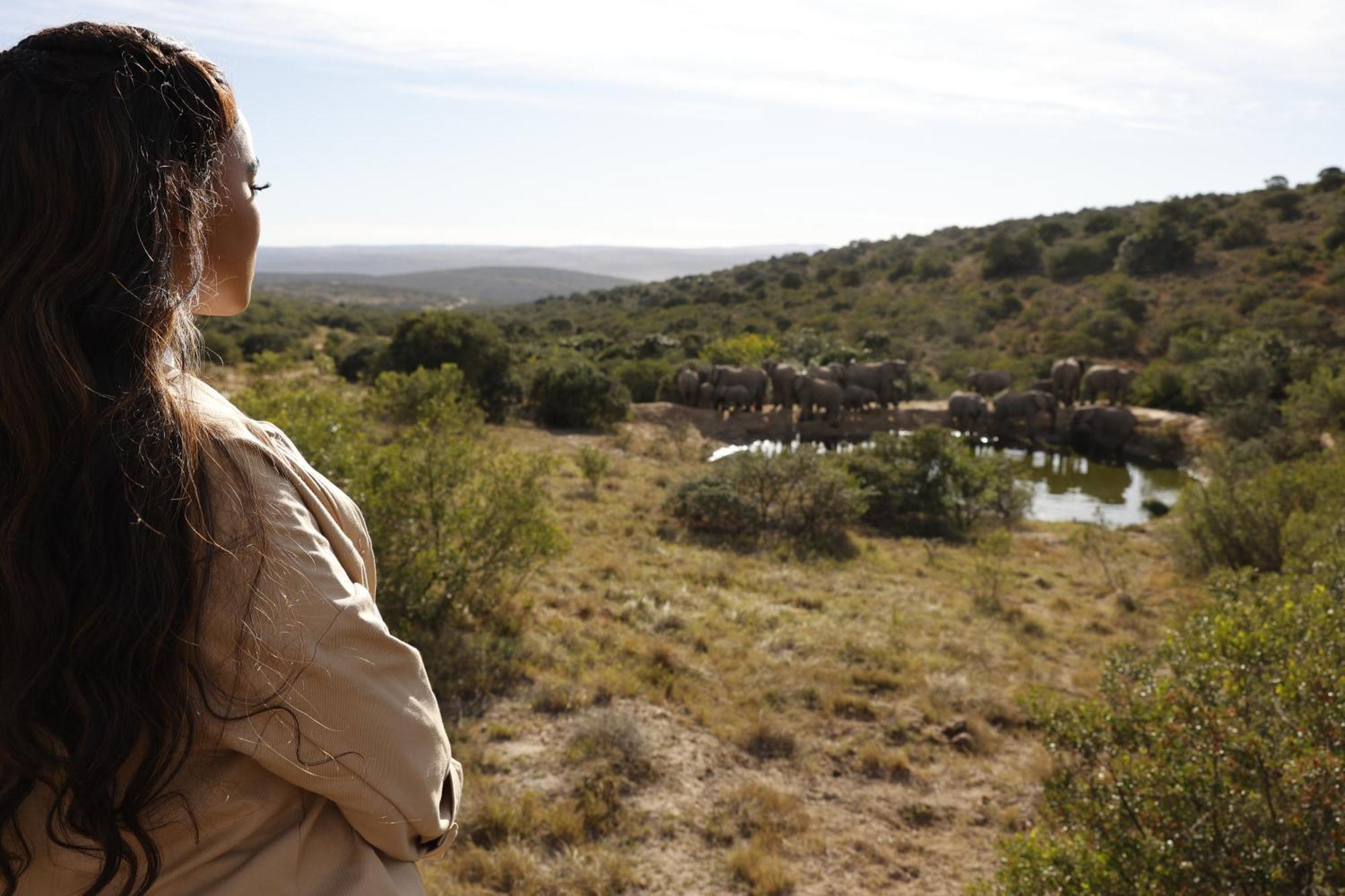 Bukela Game Lodge - Amakhala Game Reserve Exterior foto